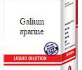 Galium aparine