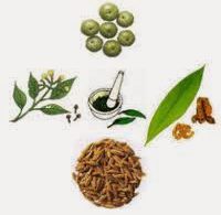 Draft Guidelines for inclusion of new monographs in Homoeopathic Pharmacopoeia of India (HPI) and amendment in Chapter of HPI-IV related to preparation of nosode