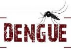 dengue