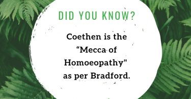 Mecca of homeopathy