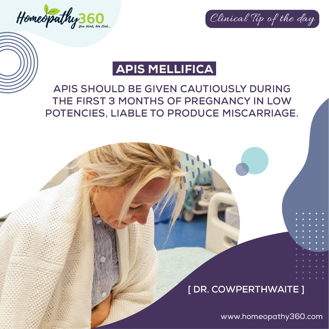 Apis Mellifica: Clinical Tips by Dr.Owperthwaite