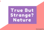 True But Strange? Nature