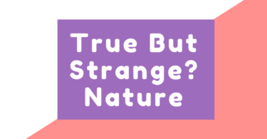 True But Strange? Nature
