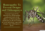 Dengue and Chikungunya