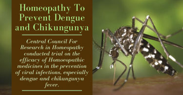 Dengue and Chikungunya