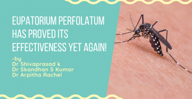 Eupatorium Perfolatum Has Proved Its Effectiveness Yet Again!