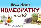 HOW HOMEOPATHY WORKS