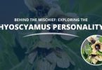 Hyoscyamus Personality