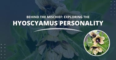 Hyoscyamus Personality