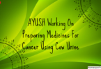 AYUSH Working On Preparing Medicines For Cancer Using Cow Urine