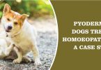 Pyoderma in Dogs Treated Homoeopathically A Case Study