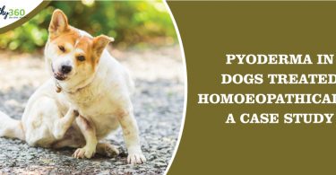 Pyoderma in Dogs Treated Homoeopathically A Case Study