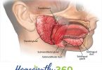 SALIVARY GLAND INVOLVEMENT