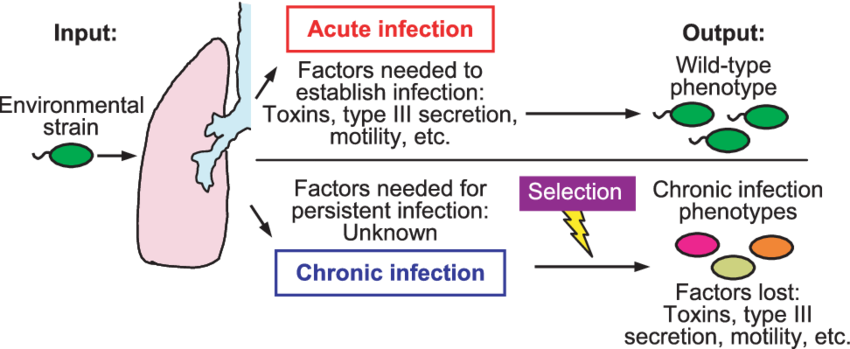 ACUTE INFECTIONS