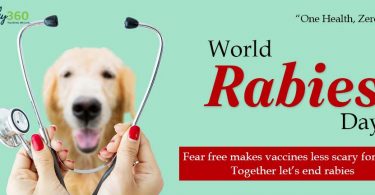 world rabies day 2020 theme