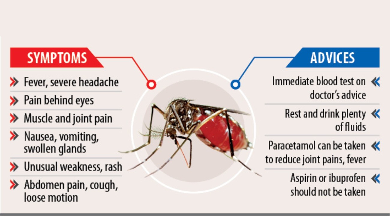 dengue epidemic