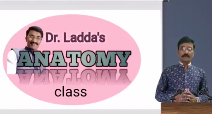 New Release!!! Easy Anatomy for Exam Preparation by Dr. S.P. Ladda